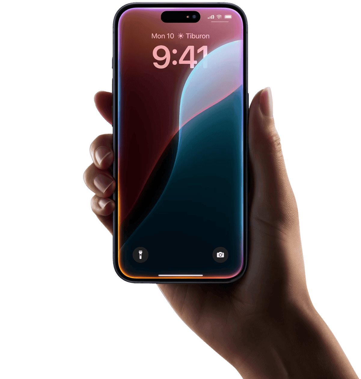 Hand holding iPhone with Dovly app